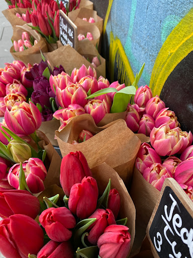 Gestrüpp - Thumbnail