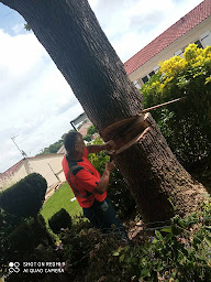 Photo n°7 de Espace vert Lagrain à Courlay (Service d'élagage)