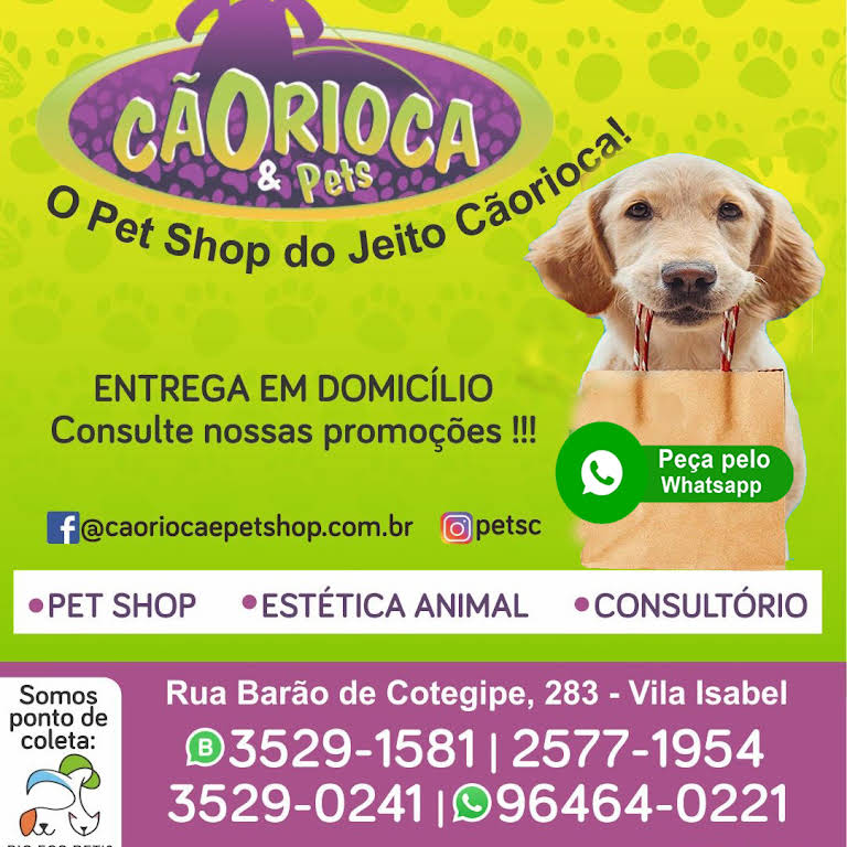 Cãobeleireiro Estética Animal: Pet Shop no Vila Bocaina, Mauá