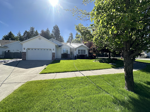 Keeping It Clean Moss Removal and House Washing