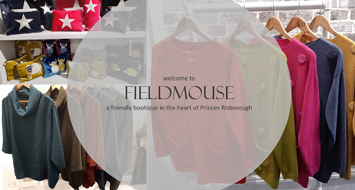 Fieldmouse - Visual