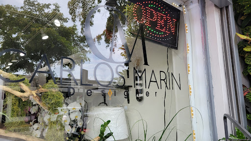 Carlos Marin Designer