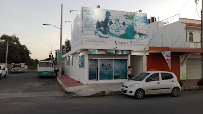 travel-agency