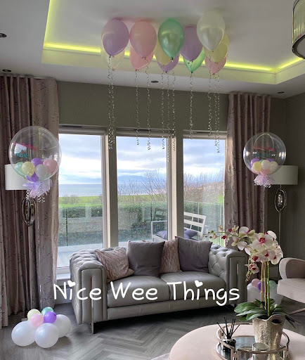 Nice Wee Things - Visual