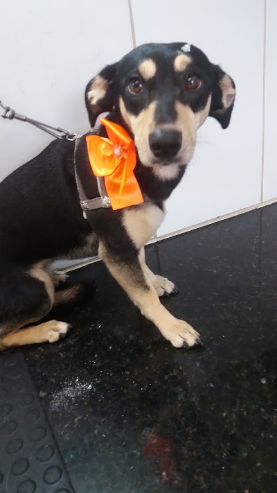 Photos of Cantinho Animal