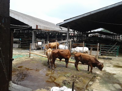 Photos of PD. Dharma Jaya