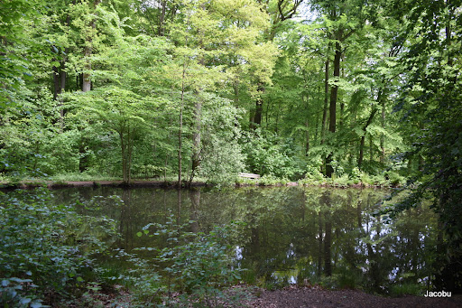 Hemelse Berg - Visual