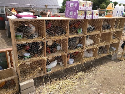 Photos of Mt. Hope Auction