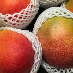 Photo n°10 de La Centrale Bio Votre Marché en Ligne à Bourg-la-Reine (Service de livraison)