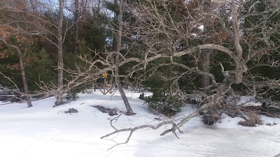 State Forest Island Camp Sites