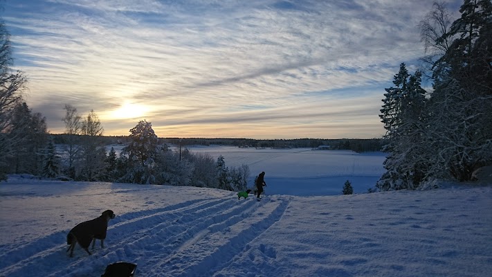 Skattmansöbacken (2🚡)