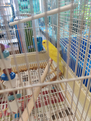 Jungle of Joys Pet Shop - Thumbnail