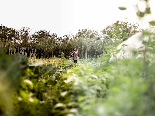 Pantasema Social Farm - Thumbnail
