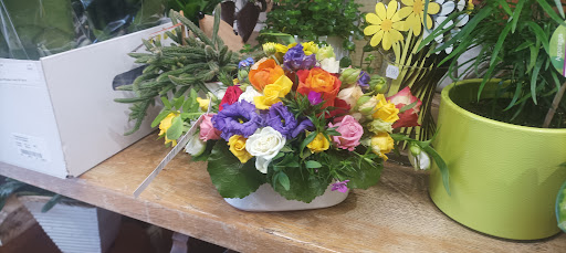 Blumen Polcher Gallery - Netherlands