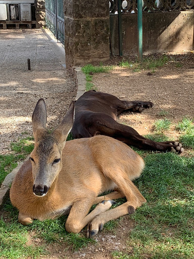 C.R.A.S. Campoformido - centro recupero animali selvatici