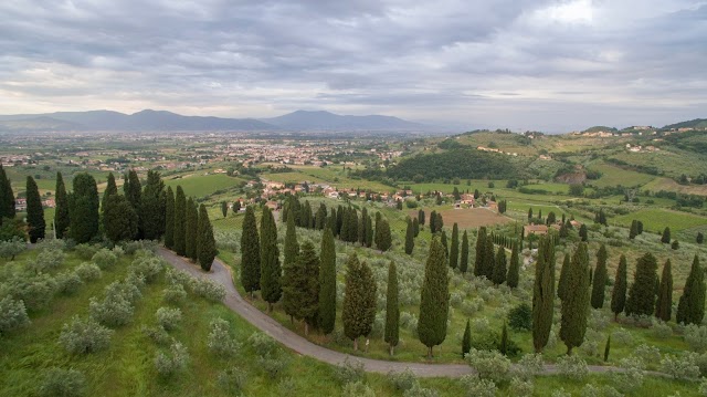 Place around image