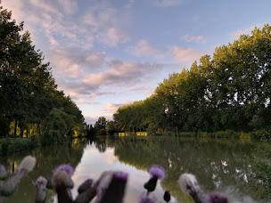 Photo n°42 de Camping L'îlot des marais à Le Langon (Terrain de camping)