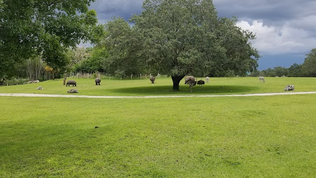 Busch Gardens Tampa Bay