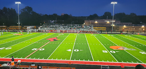 Shaw Stadium - Visual