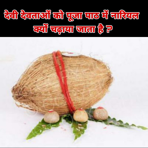 देवी देवताओं को पूजा पाठ में नारियल क्यों चढ़ाया जाता है ? post image