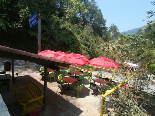 KM22 - Thumbnail
