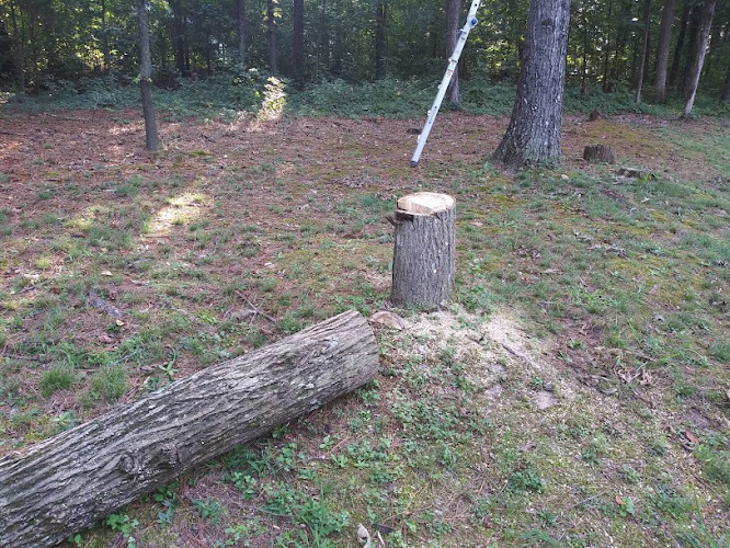 Independent Tree Service LLC.