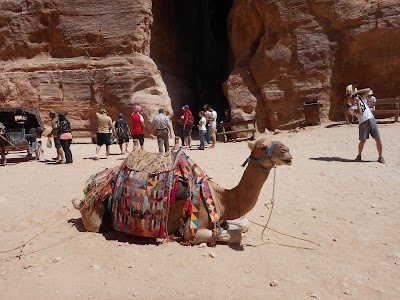Photos of Petra Visitor Center