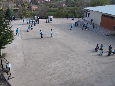 school