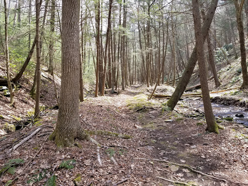 The Nature Conservancy, West Branch Forest Preserve - United States