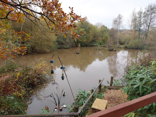 Alverstone Ponds CL - Thumbnail