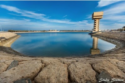 Photos of Green Island