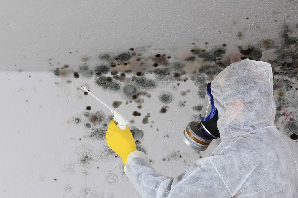 Saunders Modern Mold Care photo