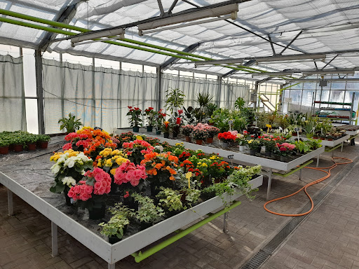 Fleurs Keller - Thumbnail