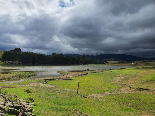 San Felipe Hidalgo, Sanctuary firefly - Thumbnail
