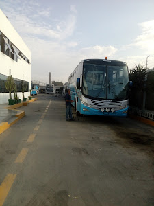 METALBUS S.A. 6