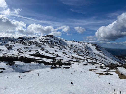 Blue Cow (Blue Cow Mountain) - Thumbnail