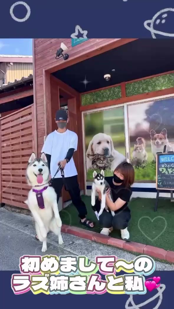 合同会社 ワンドリーム