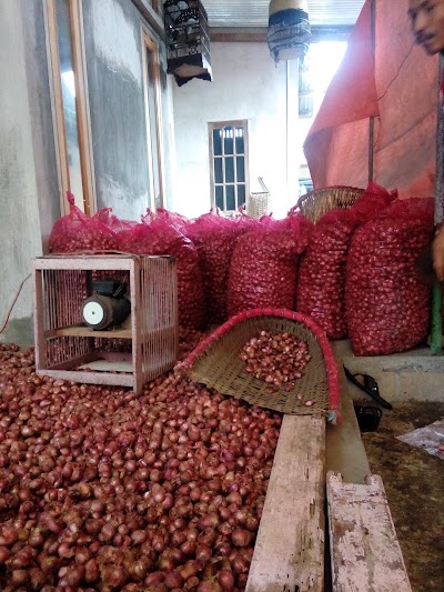 Photos of Bawang Merah Kapas