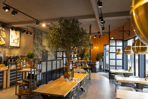 site_photo4