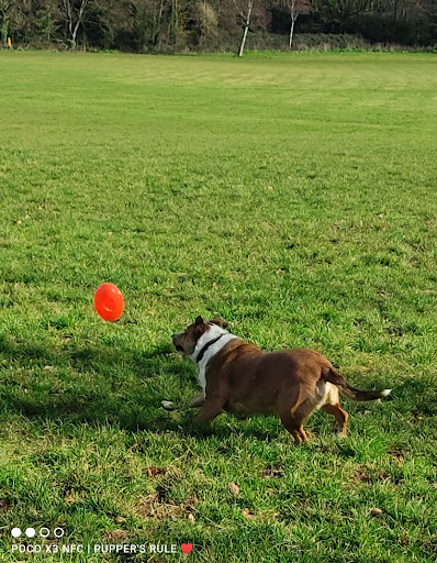 King George V Recreational park - Thumbnail