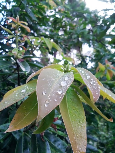 photo of Jizhuashan Park