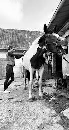 Photo n°3 de Clarisse Bien être animal à Créquy (Centre de bien-être)