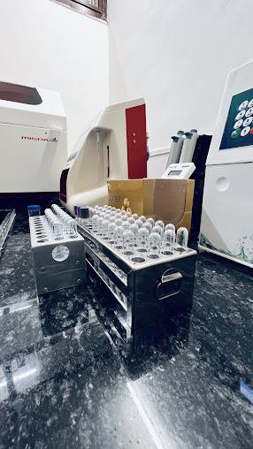 Af1qipmjae2o Yrkvlsormdp03pwbdact53apgsjeps=s508 K No