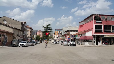 Gumushacikoy Belediyesi