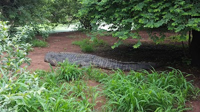 Photos of Impalila Island