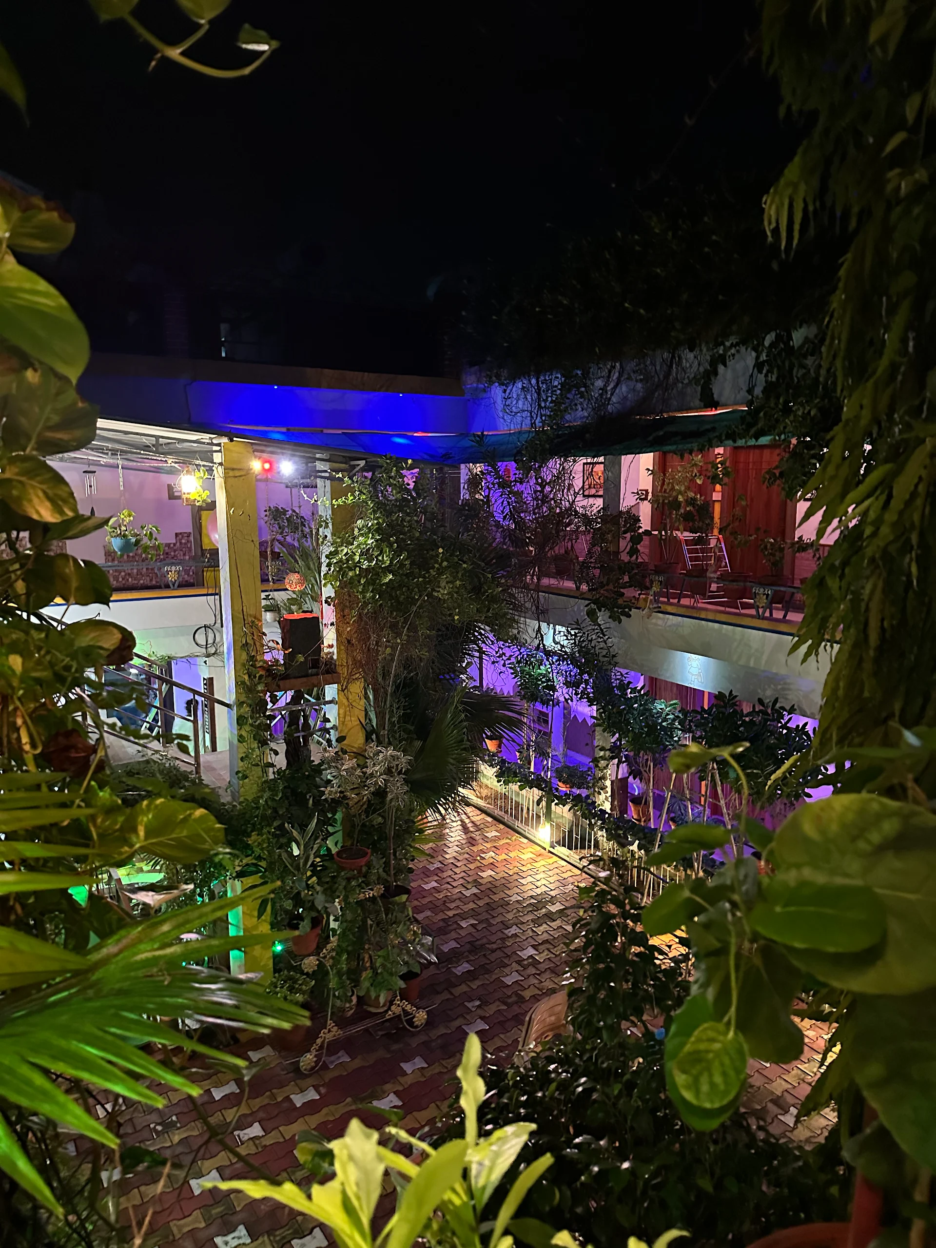 Hotel Buddha Palace