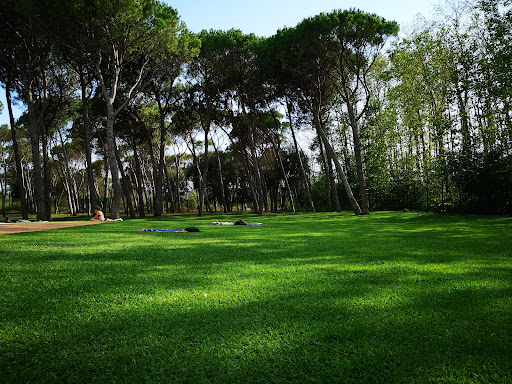 Piscina municipal de Sant Gregori - Thumbnail