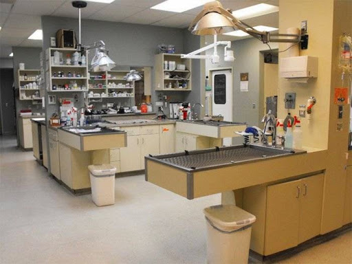 VCA North Division Animal Medical Center - Thumbnail