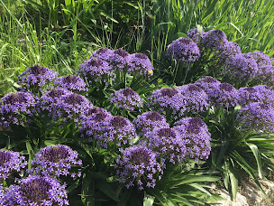 Photo n°11 de Mas de Saint-Julien, B&B French Riviera à Biot (Chambre d'hôtes)