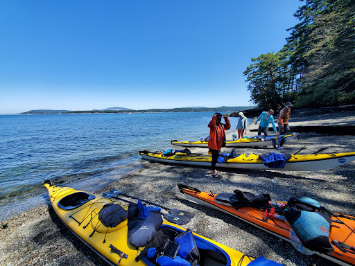 Crystal Seas Kayaking - Thumbnail